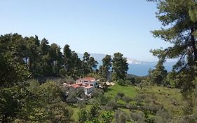 Houni House